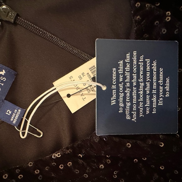 RSVP Talbots Dress Velvet Sequin MIDI Black NWT size 12. Perfect for holidays - Picture 7 of 7